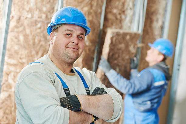 Best Wall Insulation Installation  in Novato, CA